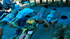 camp28 (538)_thumb.png